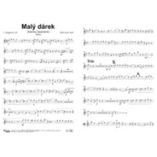 Maly Darek (Kleines Geschenk)